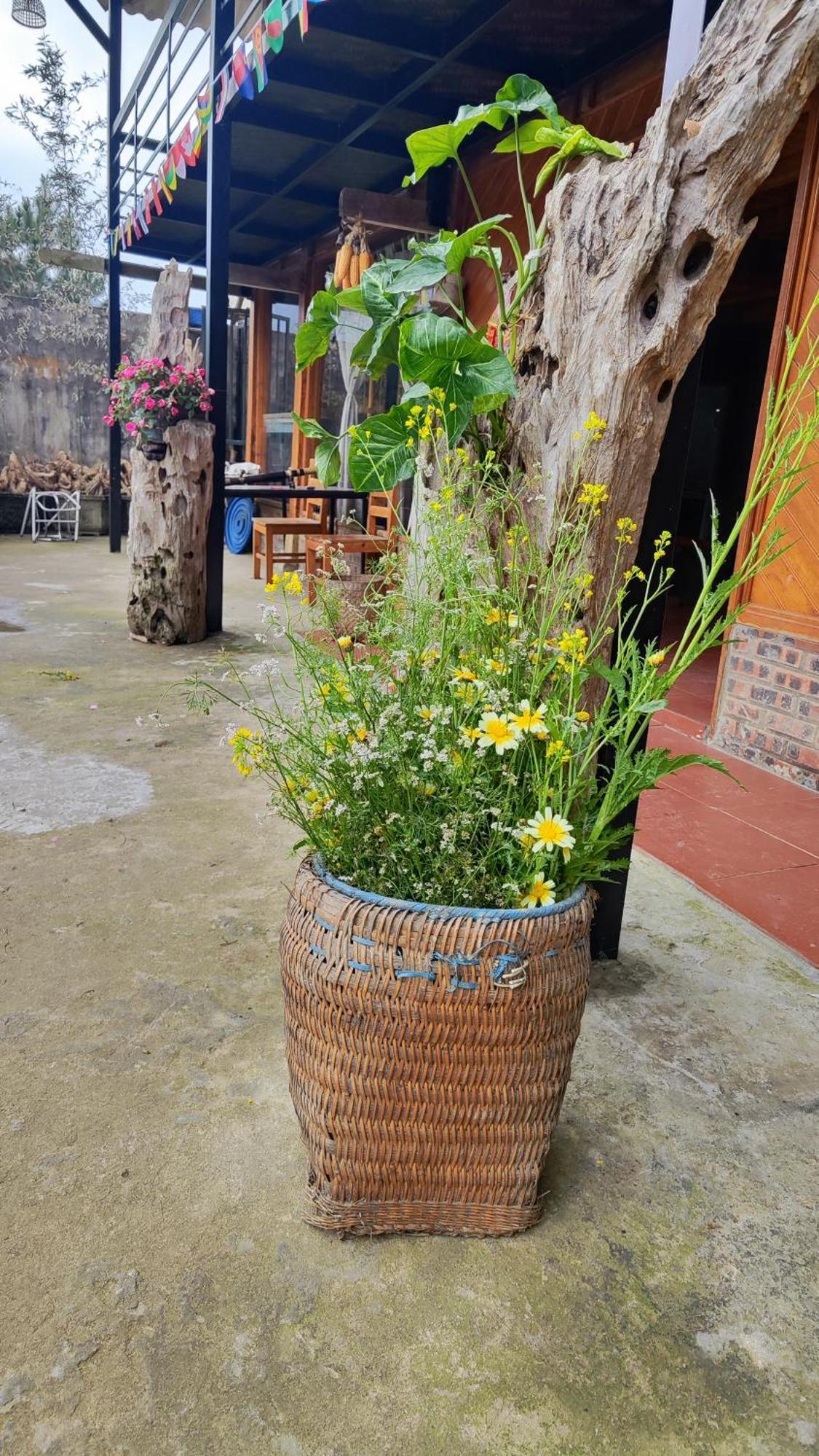 Tavan View Homestay Sapa Exterior foto